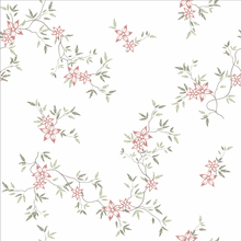 Cargar imagen en el visor de la galería, Brave