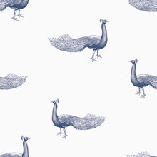 Cargar imagen en el visor de la galería, Pavito