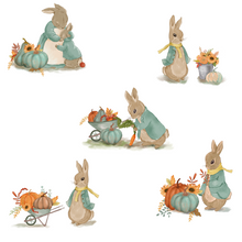 Cargar imagen en el visor de la galería, Pepita calabaza