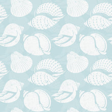 Cargar imagen en el visor de la galería, Hola caracola