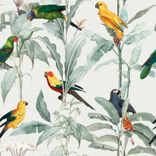 Cargar imagen en el visor de la galería, Brasil claro