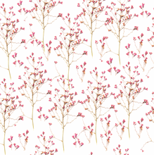Cargar imagen en el visor de la galería, Paniculata seca rosa
