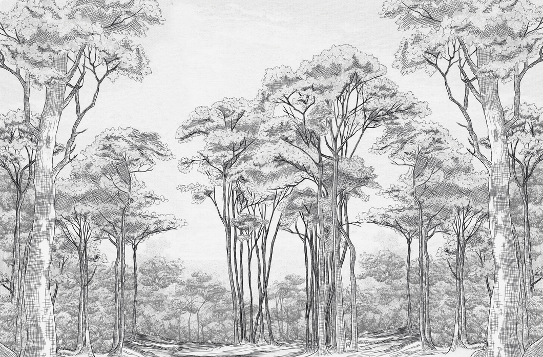 Sendero